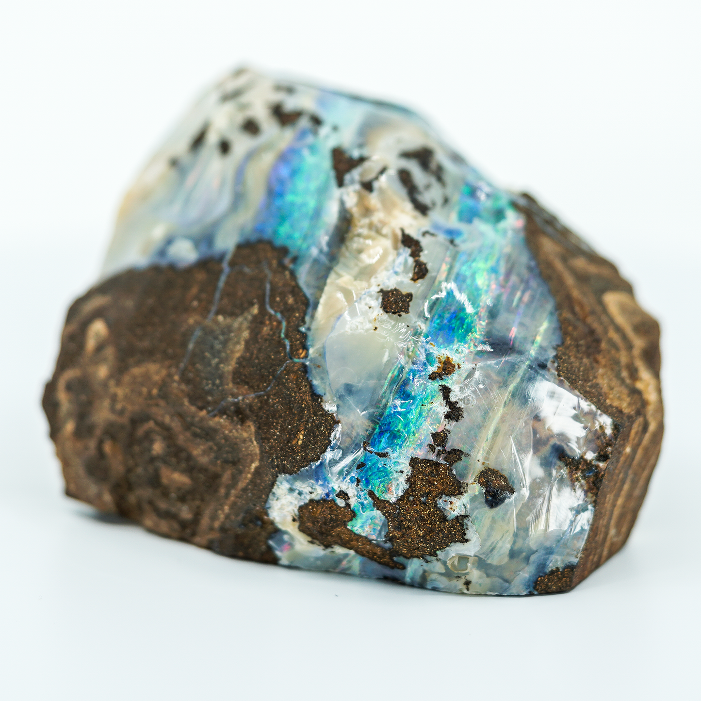 Australian Opal - Rough Collector Grade Specimen from Lightning Ridge