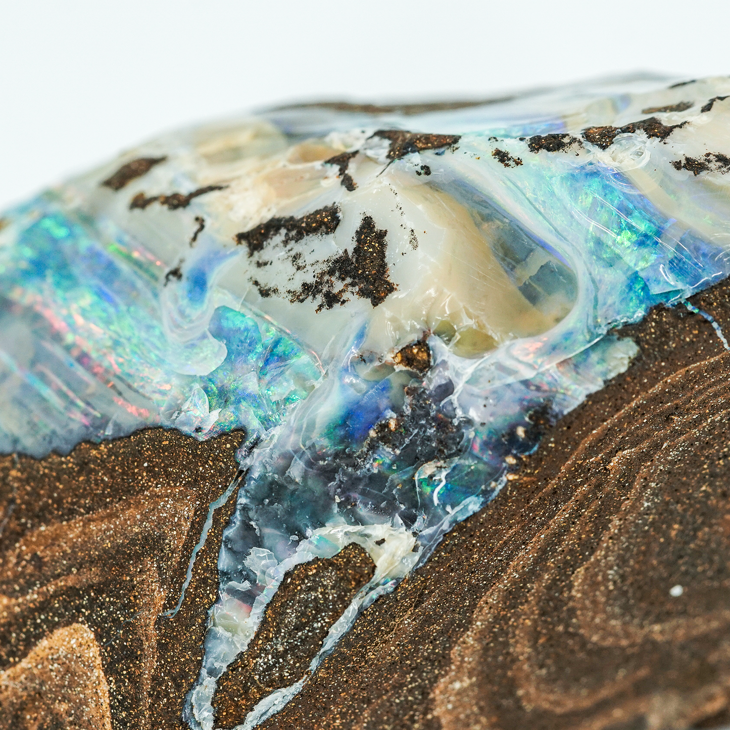 Australian Opal - Rough Collector Grade Specimen from Lightning Ridge